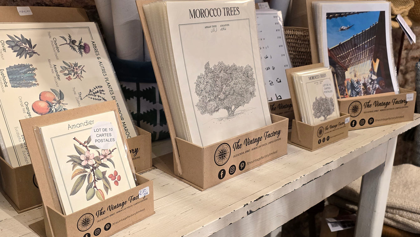 Cartes postales botaniques The Vintage Factory (« Morocco Trees ») chez l'Atelier Café Boutique, Essaouira