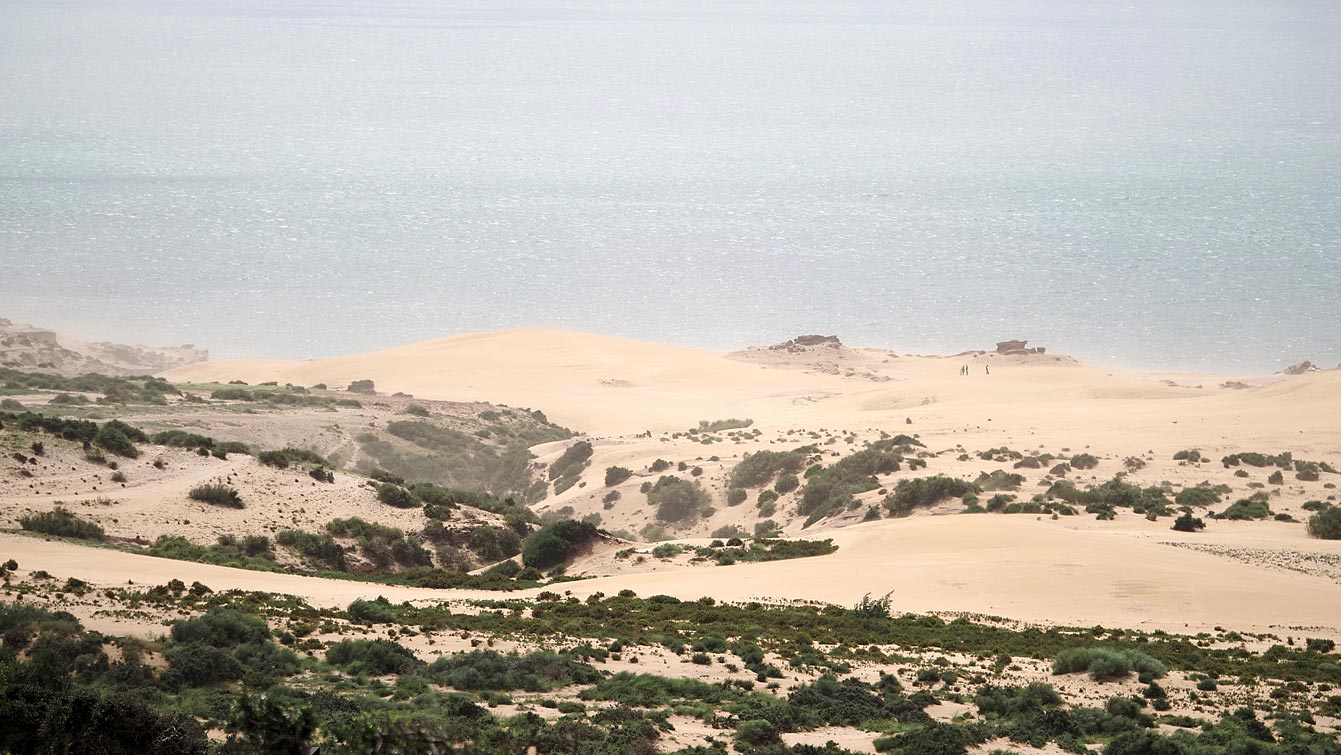 Dunes de sable dorées descendant vers l'océan aux dunes de Timlalin, au nord de Taghazout.