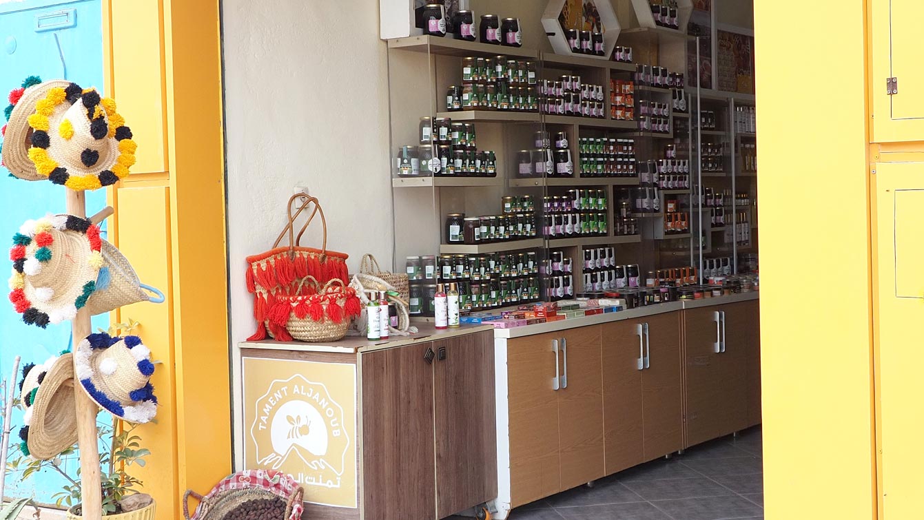 coopérative d'huile d'argan à Mirleft
