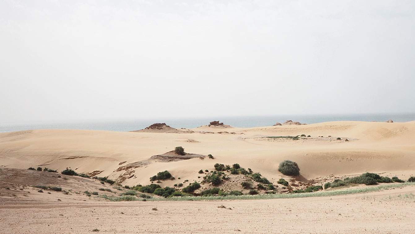 Piste de sable bordée de végétation menant au canyon de Timlalin, océan en arrière-plan.