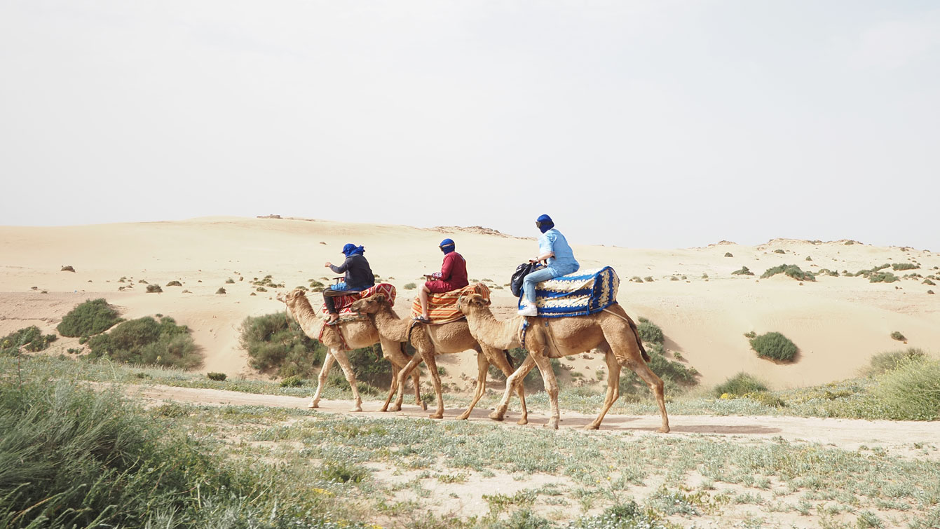 Trois personnes à dos de dromadaire traversant les dunes fleuries de Timlalin.