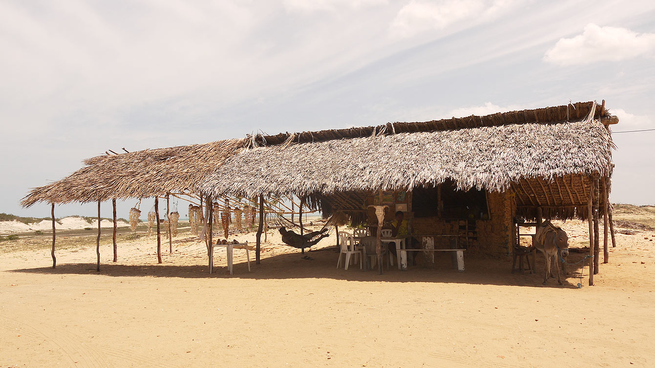 jericoacoara-buggy34