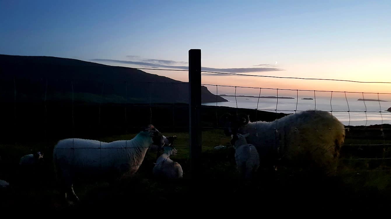 La péninsule de Waternish, la nuit avec moutons