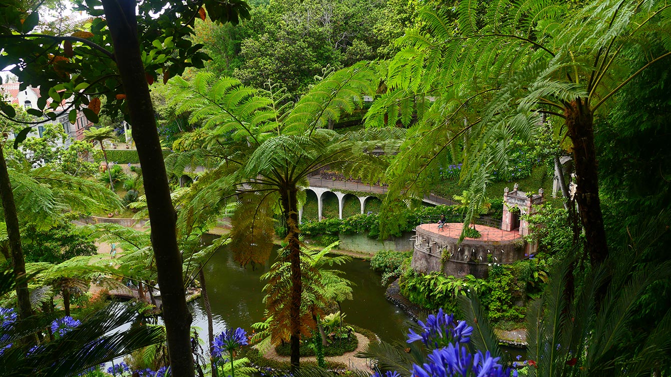 Jardin tropical Monte Palace, Madère
