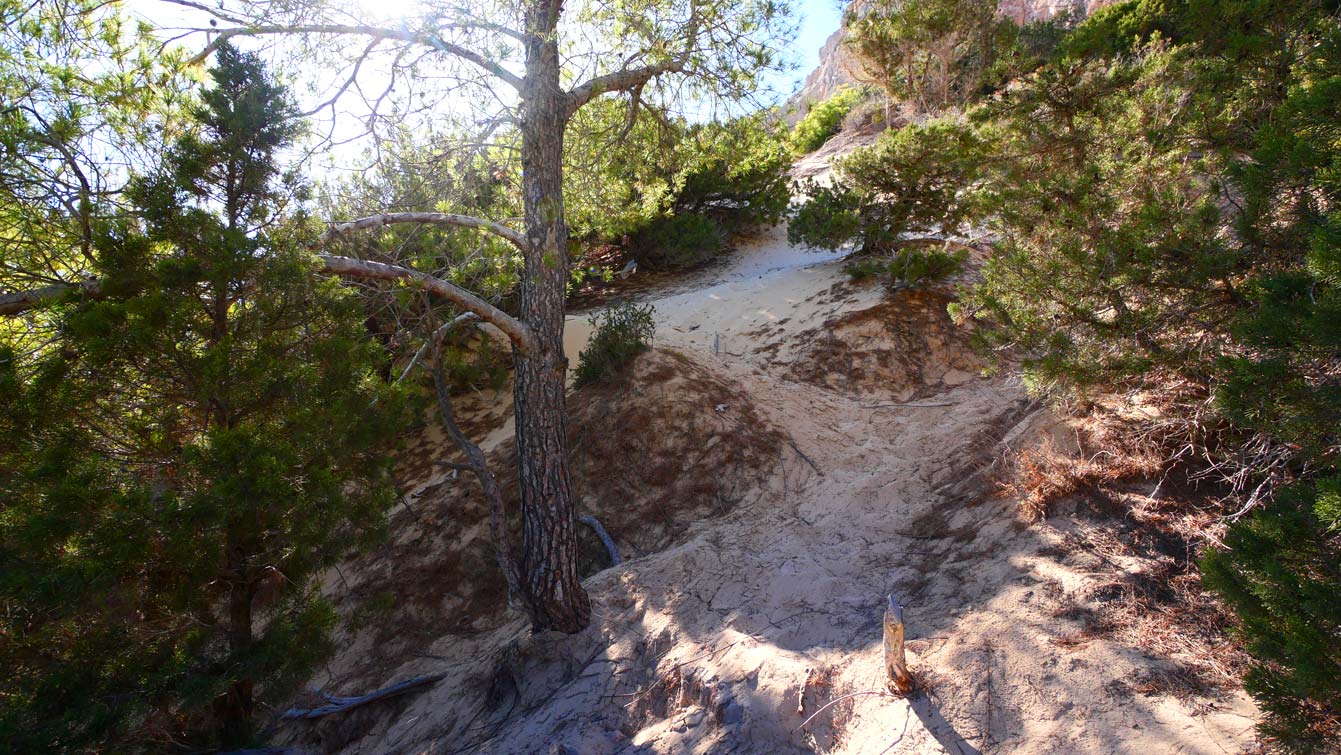 le sentier d'Atlantis Ibiza