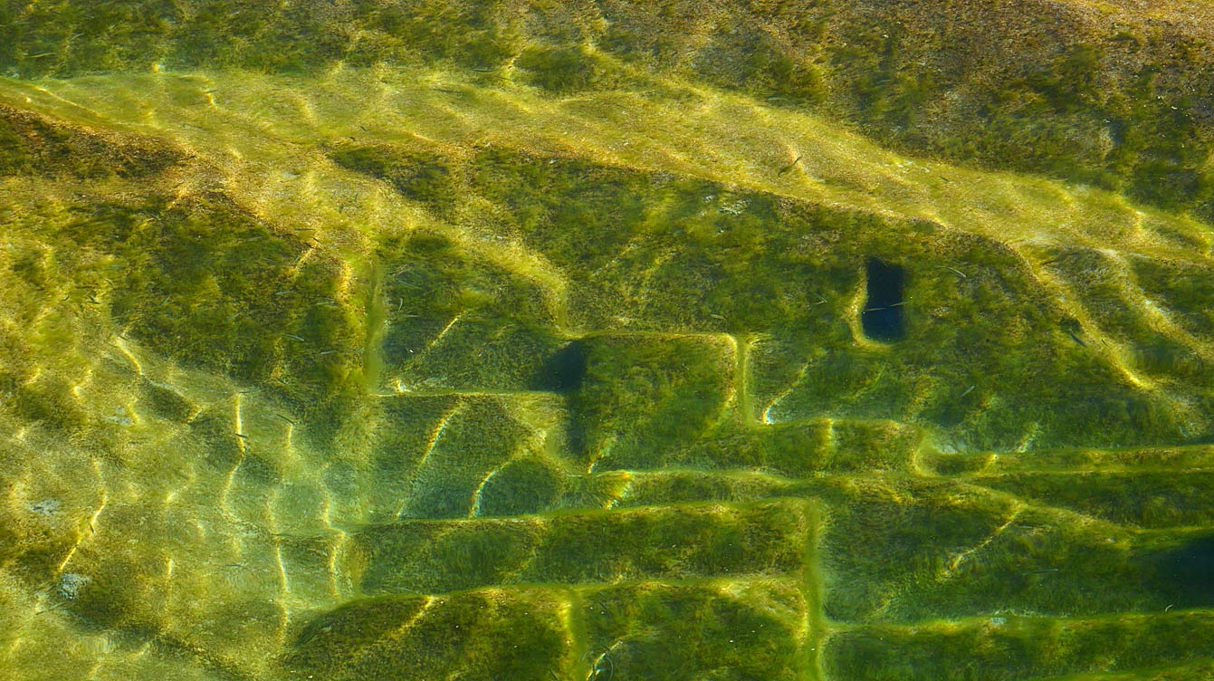 piscines naturelles à Atlantis Ibiza