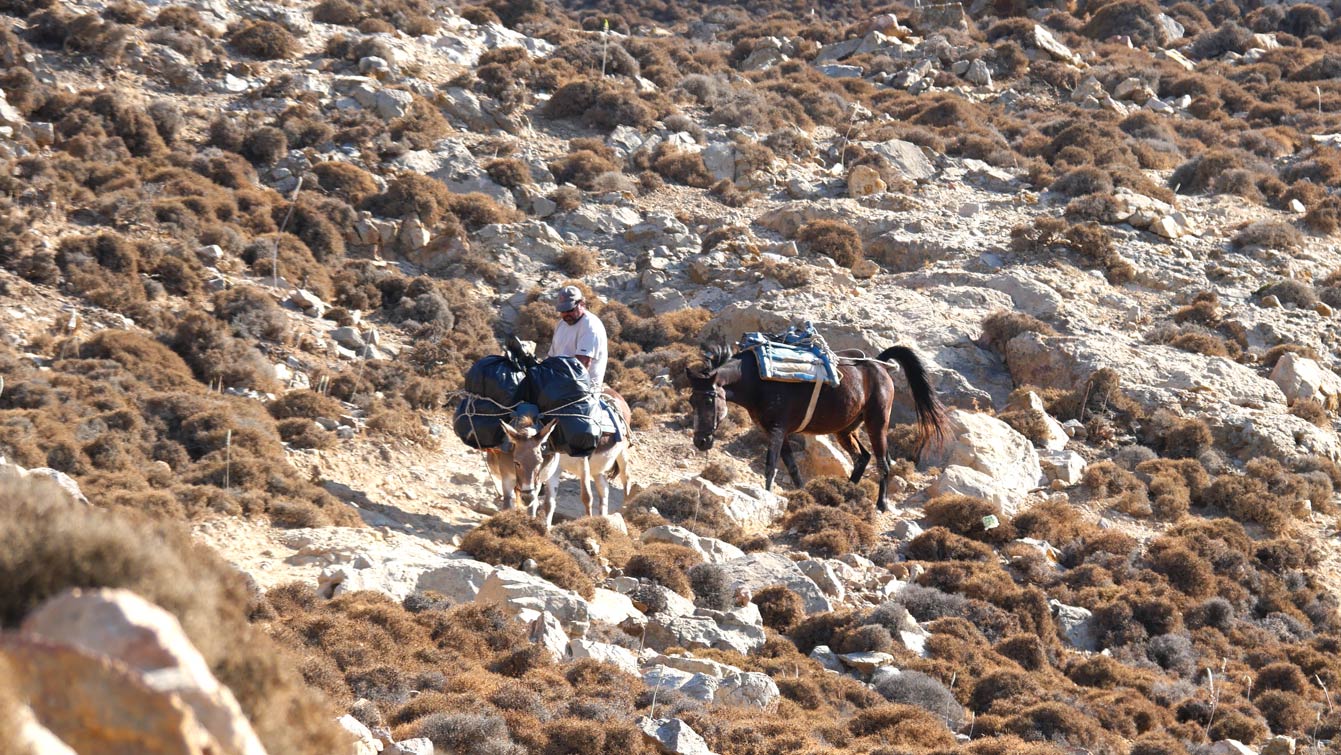 Sur le chemin de randonnée... Psili Ammos Beach., Patmos