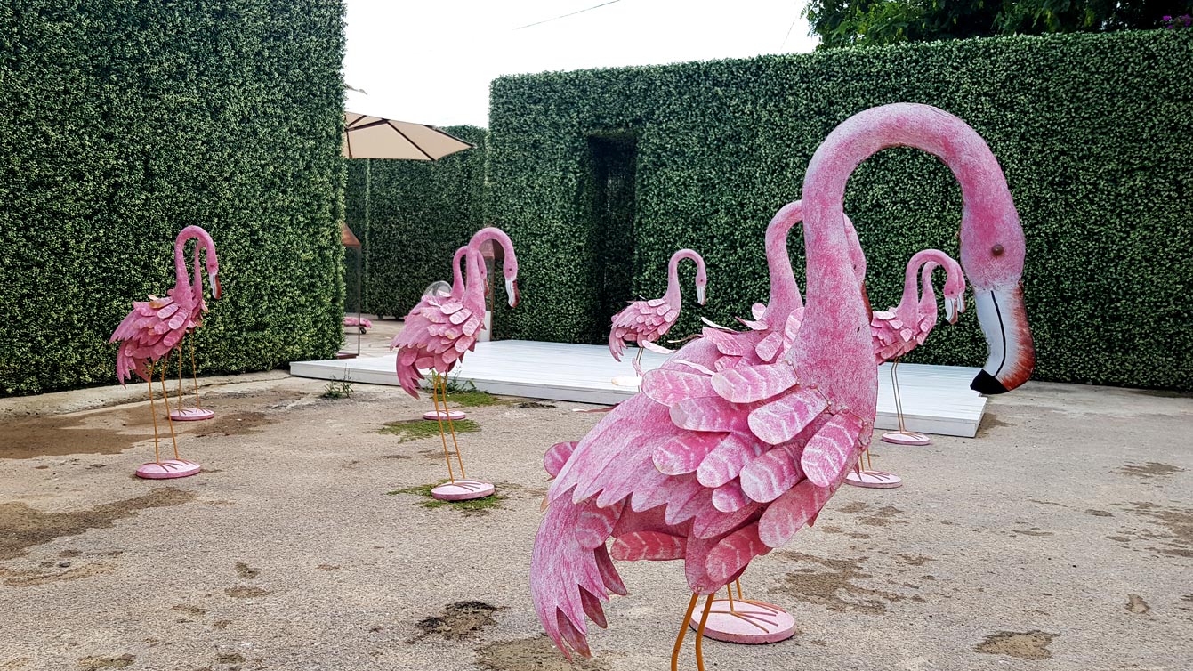  restaurant Bikini by Cathy Guetta : les flamants roses